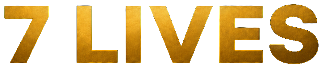 7 Lives Game